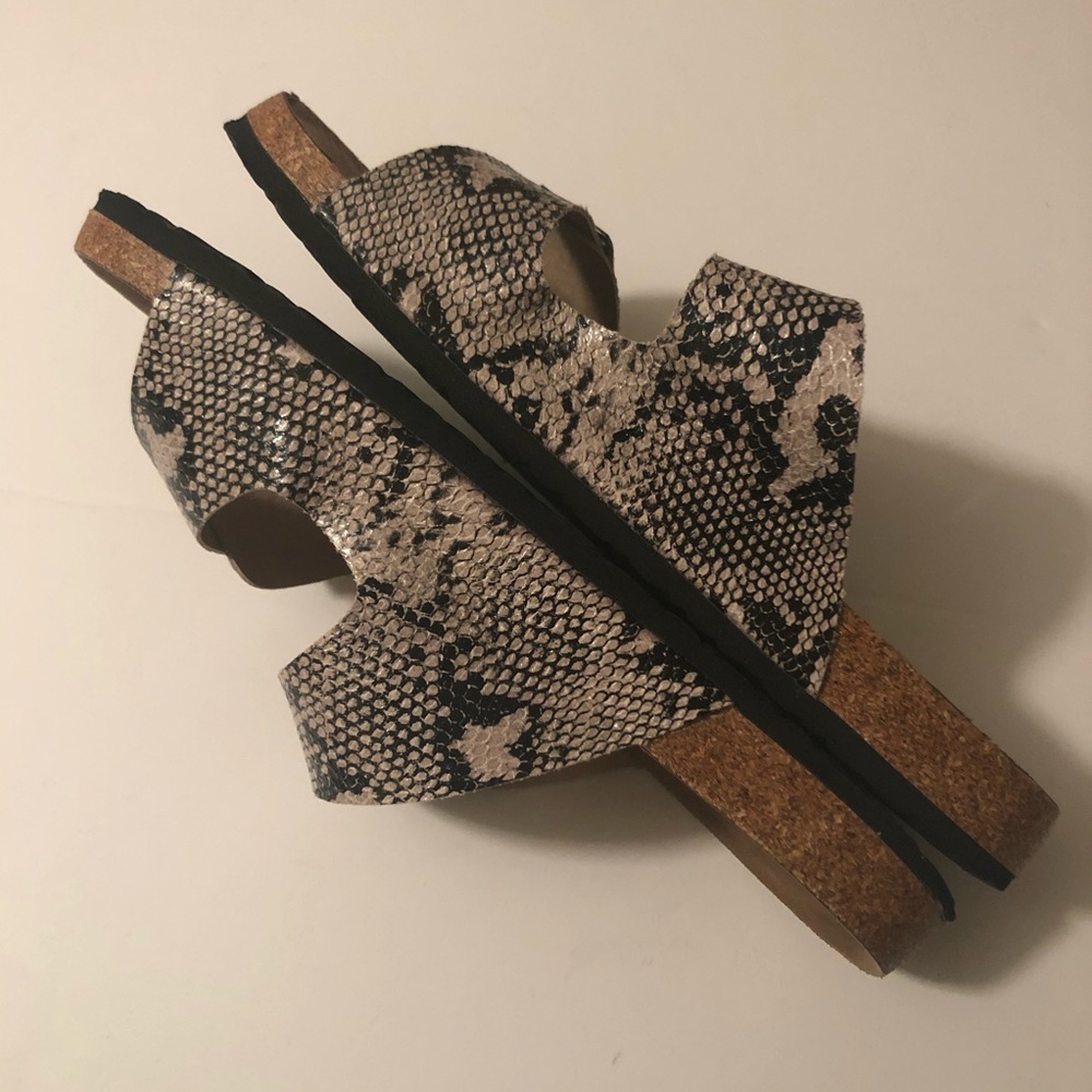 🐍 Snake Print Slides - Picture 7 of 8